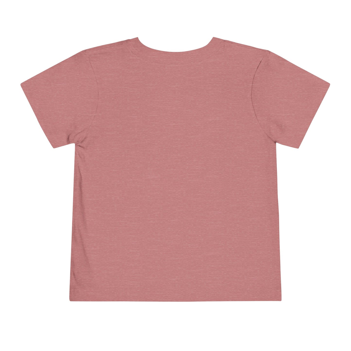 Future Leader of America Toddler Tee — Patriotic Kids Short Sleeve Shirt